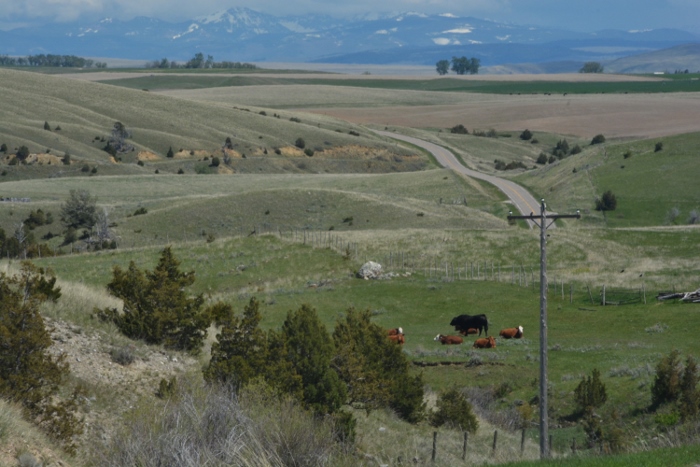 along highway 395